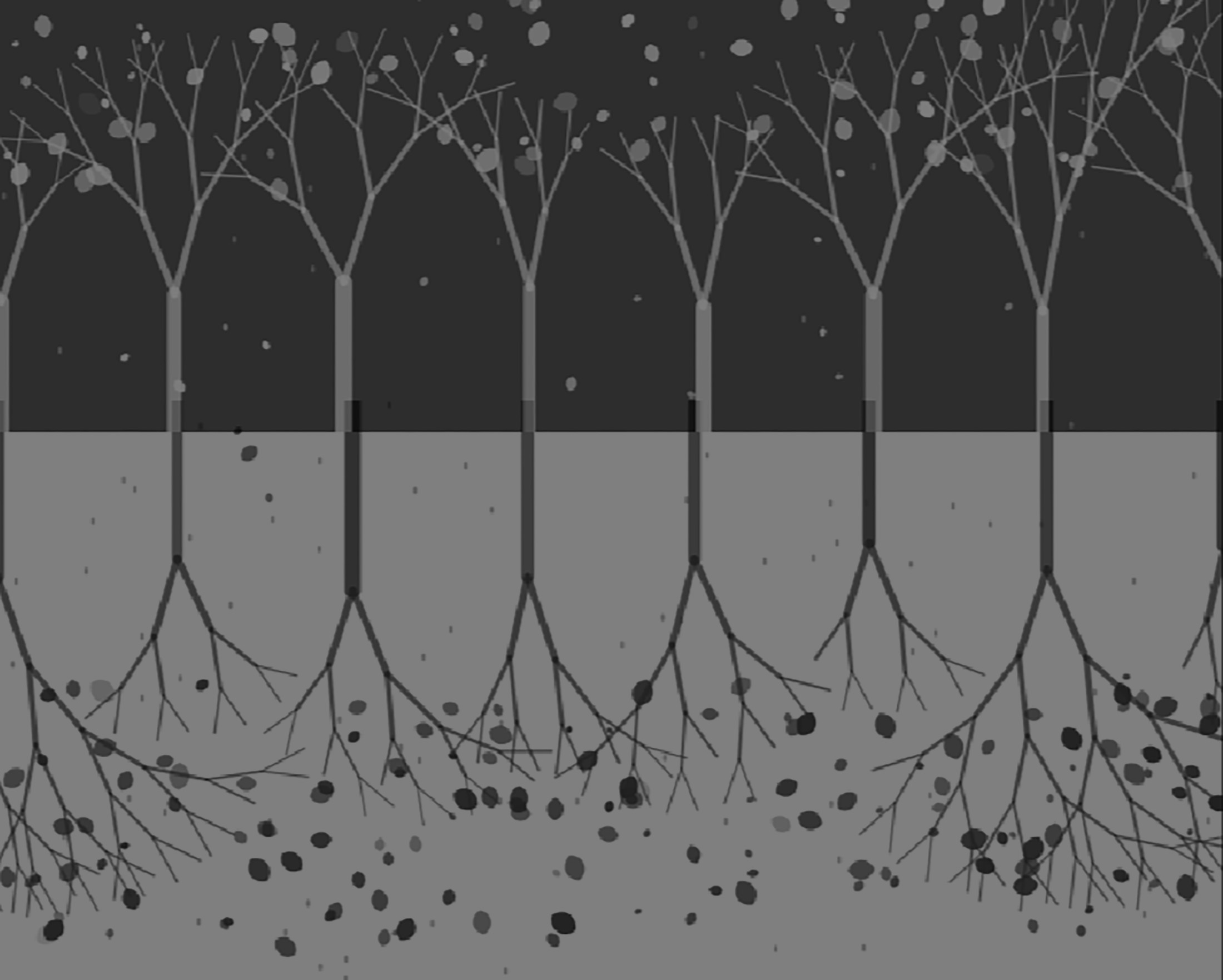 A woman placing her hand at the interactive installation.