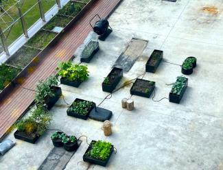 Aerial view of a rooftop garden