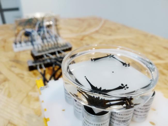 A student project for Working with Electrons class