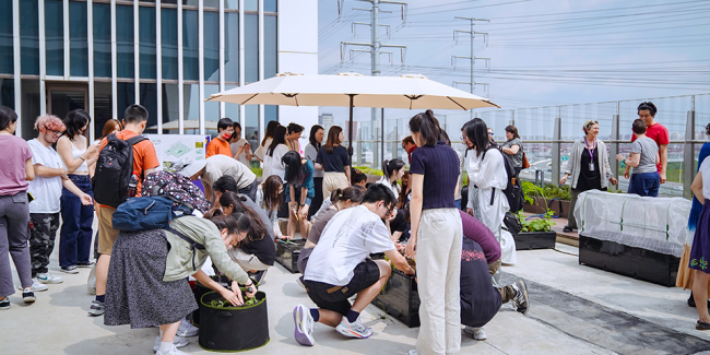 A group of students on the rooftop garden