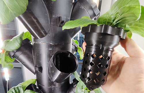 A plant growing out of pipes