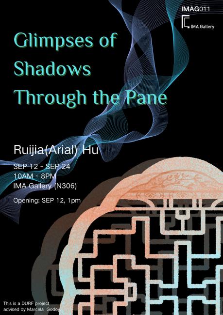 Glimpse of Shadows Through the Pane poster