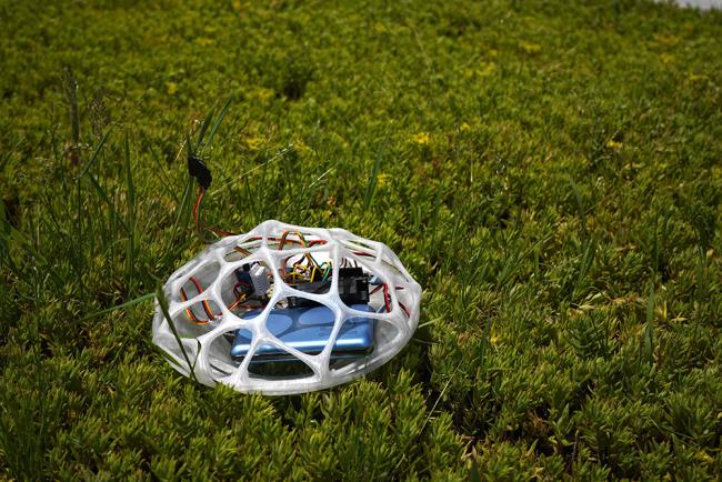 The small mushroom of the project functioning outdoor