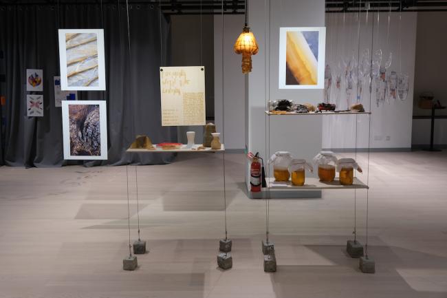 Project Display of Forming with the Living