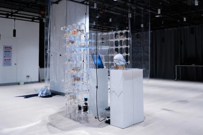 The Breath of Life -- Capstone Show