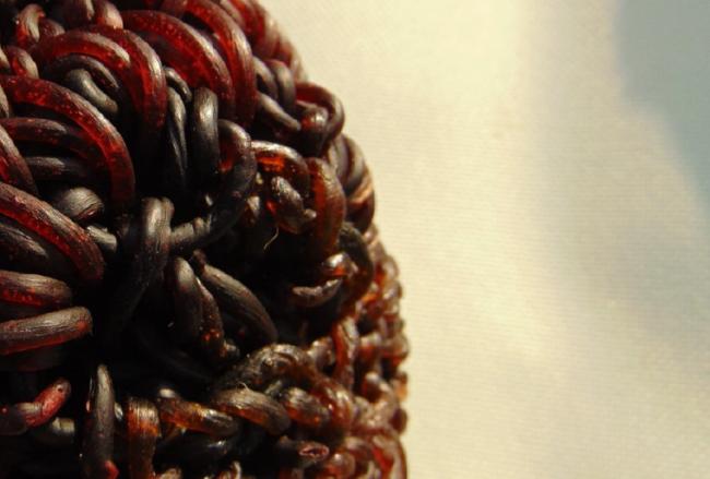 Tissues from the uterus by Ana Laura Cantera