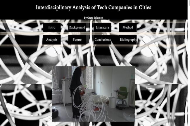 The landing page for the final web essay