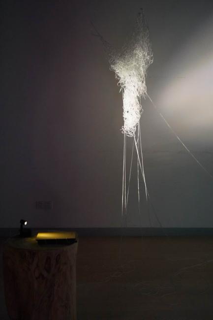 Wholistic view of Chlorosense.