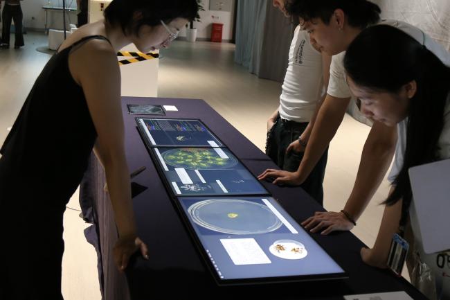 Physical Installation