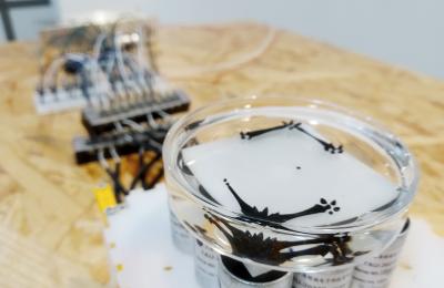 A student project for Working with Electrons class