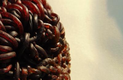 Tissues from the uterus by Ana Laura Cantera