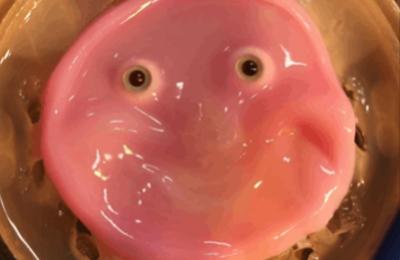pink slime with eyes